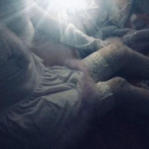 黄色电影一级人跟动物
