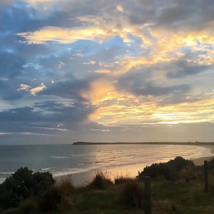 黄色电影一级人跟动物
