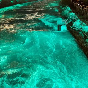 黄色电影一级人跟动物
