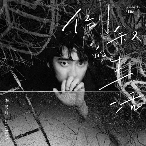 黄色电影一级人跟动物
