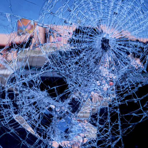 黄色电影一级人跟动物
